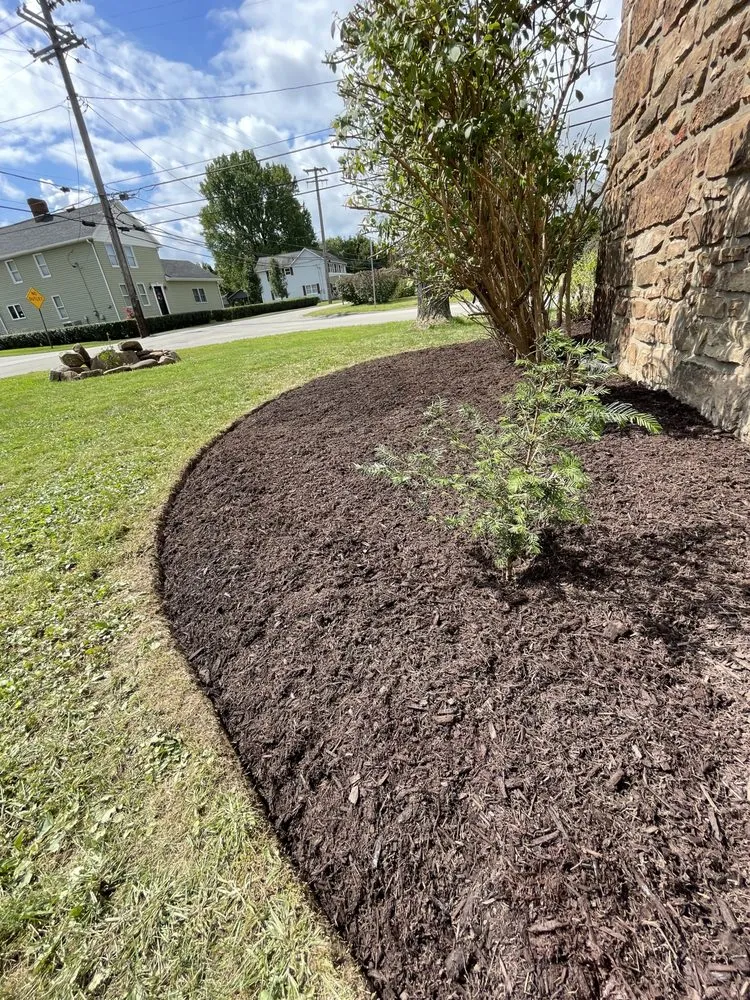 Affordable lawn care service experts serving Hopwood, PA - Luxscape Maintenance and Design