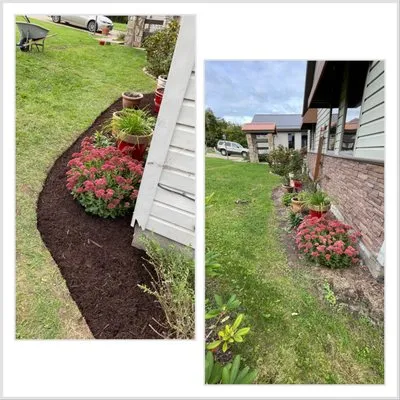 Luxscape Maintenance and Design