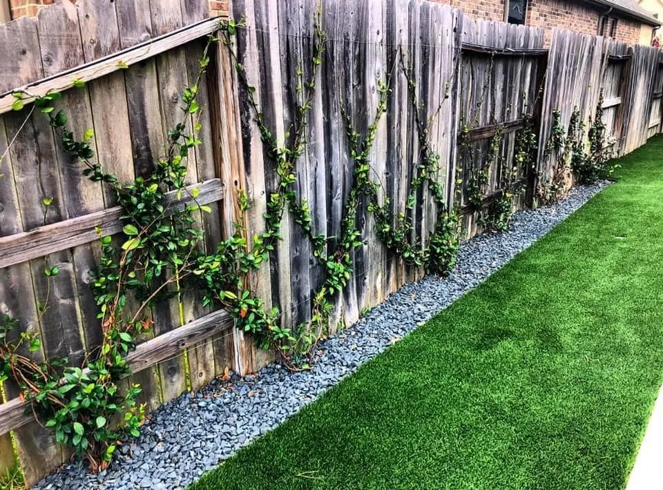 Expert yard cleanup service in Spring, TX - Luxscape