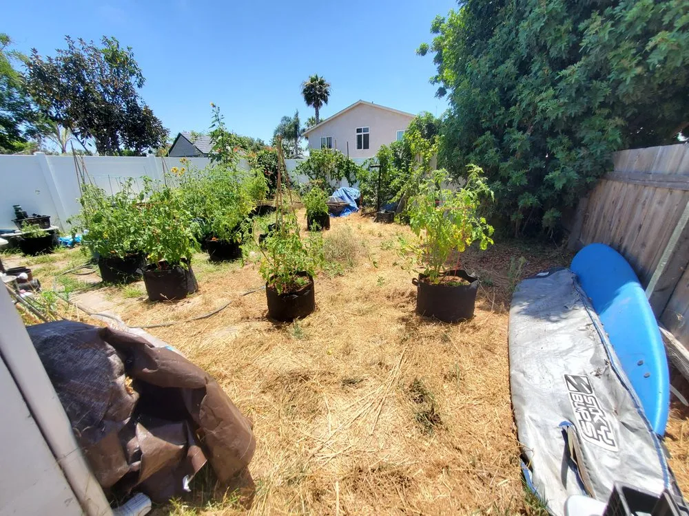 Top-rated lawn care service experts serving Escondido, CA - Luxurious Landscape Living