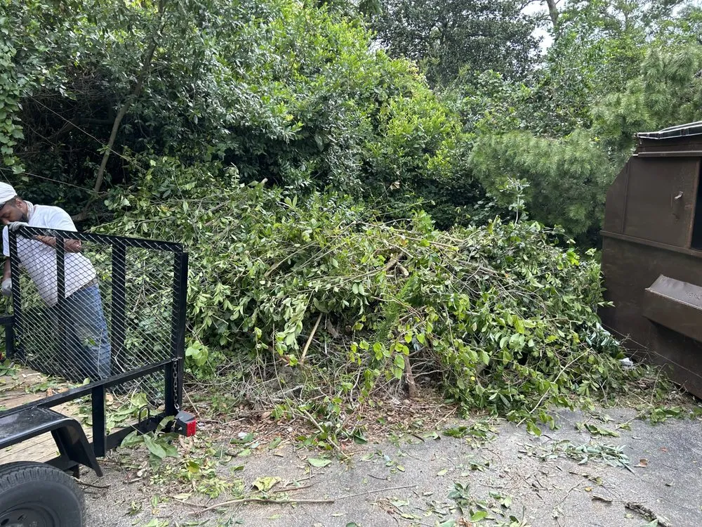 Trusted landscape installation experts serving Tallahassee, FL - Luxurious Landscaping & Design