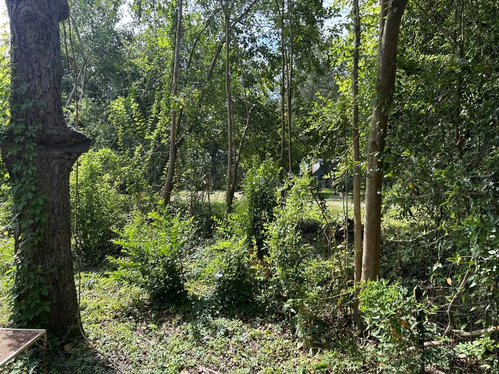 Top-rated landscaping services experts serving Tallahassee, FL - Luxurious Landscaping & Design