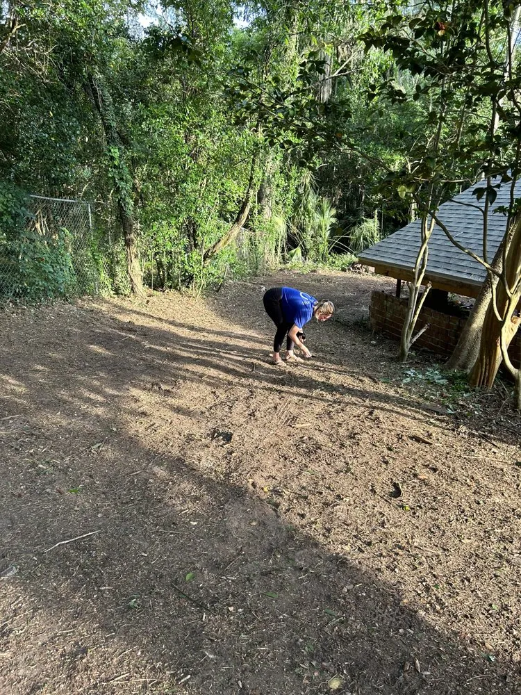 Expert garden landscaping experts serving Tallahassee, FL - Luxurious Landscaping & Design