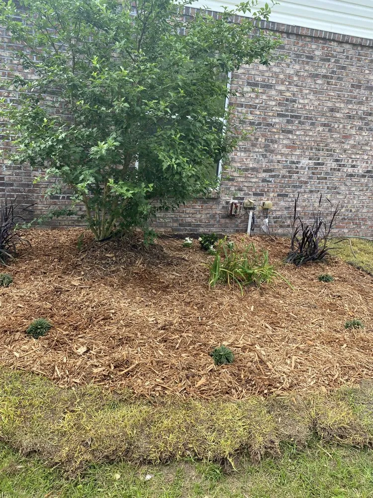 Reliable landscaping services for homes in Tallahassee, FL by Luxurious Landscaping & Design