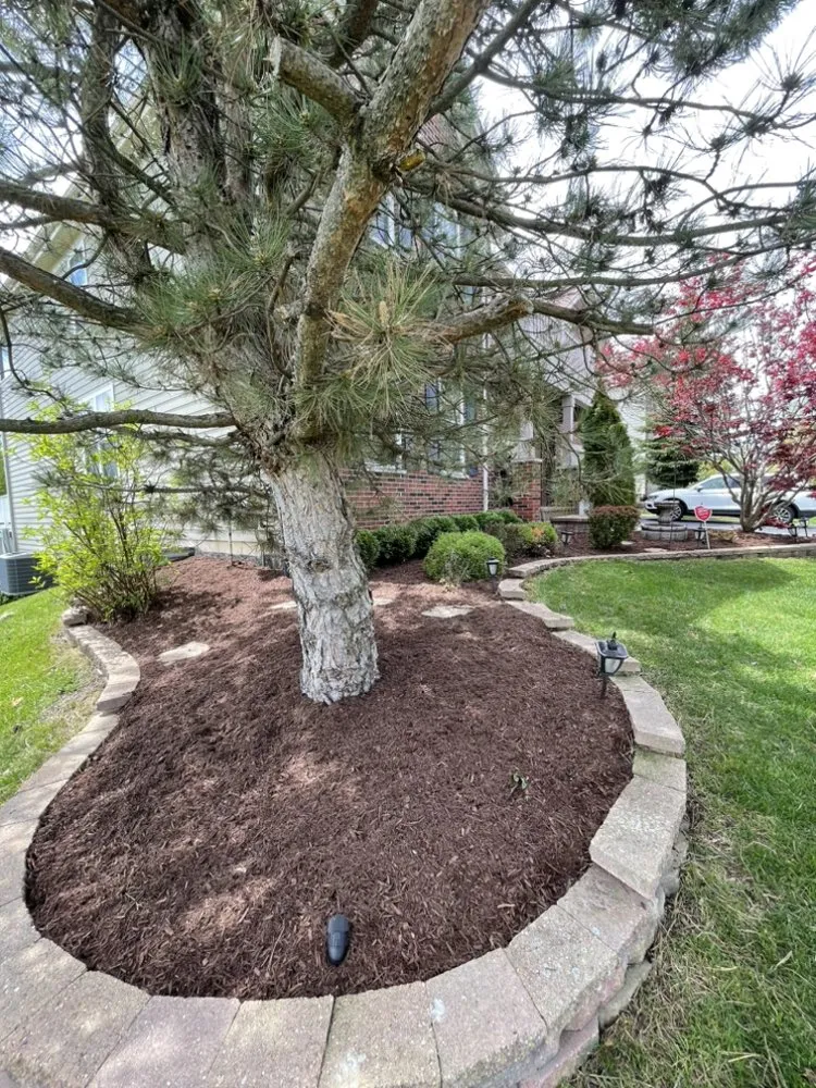 Local garden landscaping near you in Elgin, IL by Luxurious Landscaping