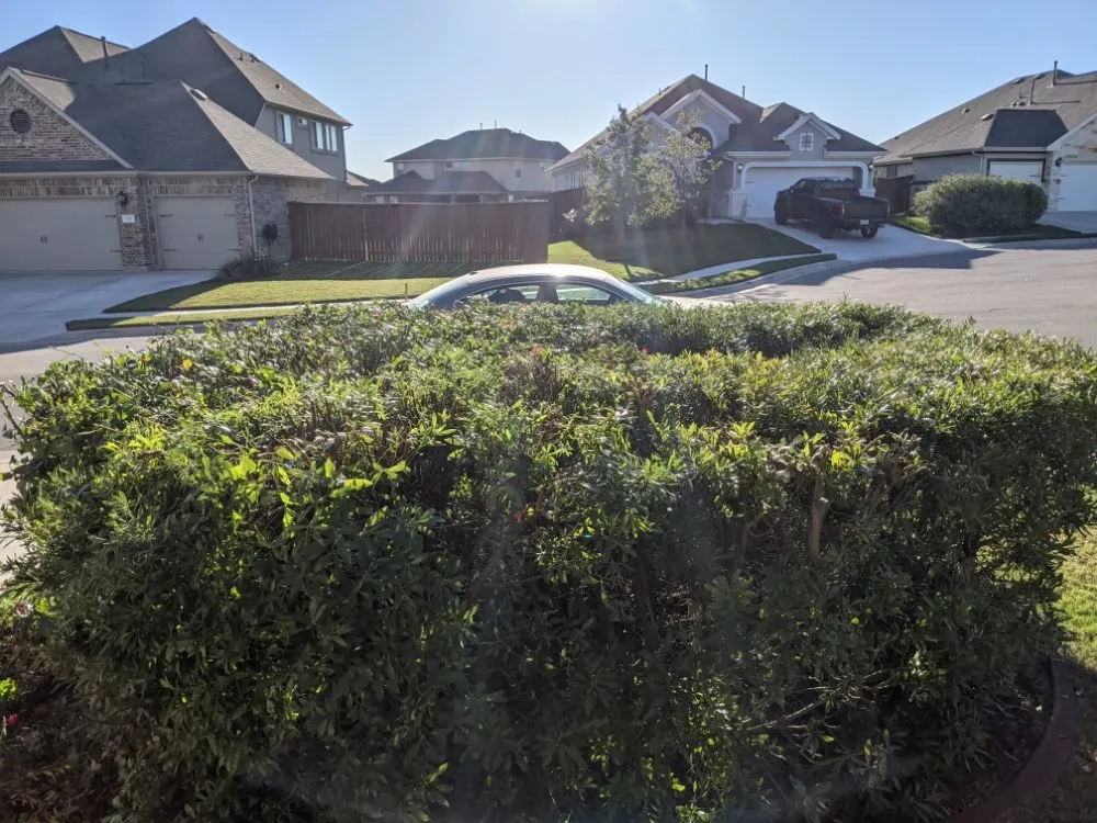 Expert garden landscaping in Round Rock, TX by Luxurious Landscaping