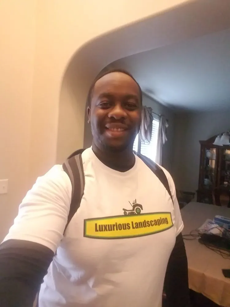 Local lawn care service in Round Rock, TX by Luxurious Landscaping