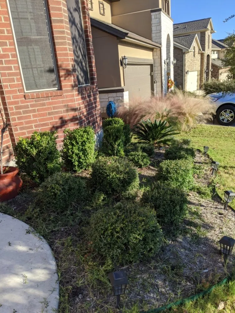 Trusted yard cleanup service experts serving Round Rock, TX - Luxurious Landscaping