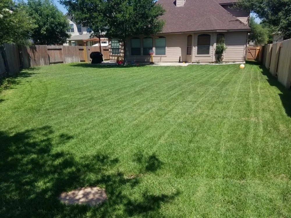 Expert landscaping services for year-round maintenance in Round Rock, TX by Luxurious Landscaping