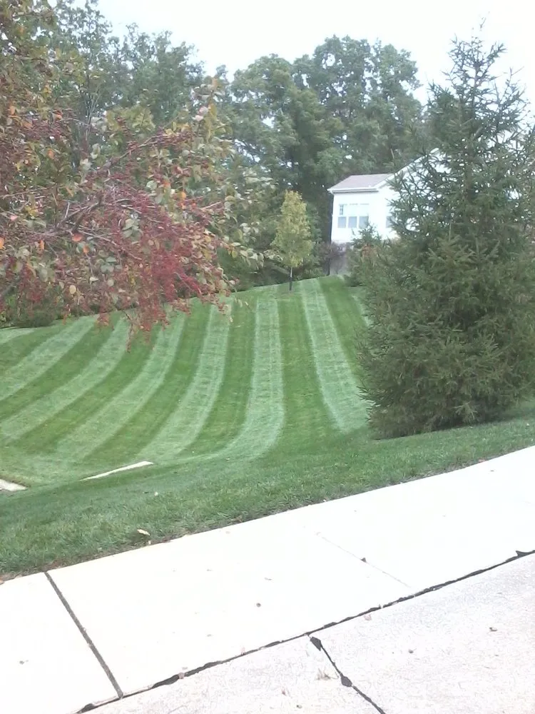 Reliable yard cleanup service near you in Lake Saint Louis, MO by Luxurious Lawn Care and Landscaping