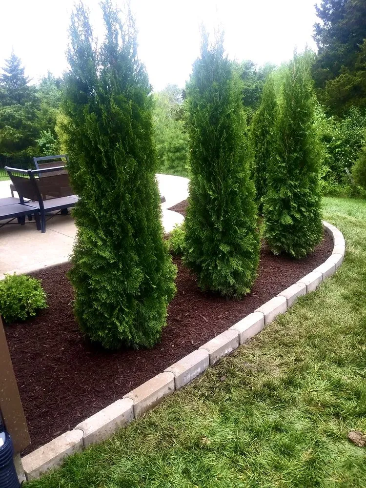 Affordable lawn care service in Lake Saint Louis, MO - Luxurious Lawn Care and Landscaping