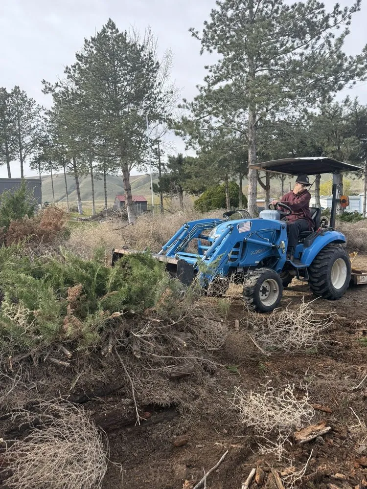 Top-rated lawn mowing service in Benton City, WA - Luxury Dumping Company