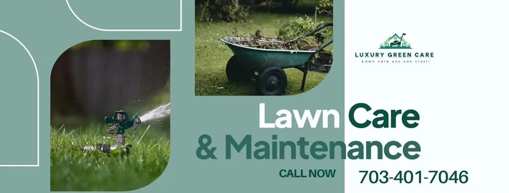 Reliable yard maintenance with custom design in Herndon, VA by Luxury Green Care