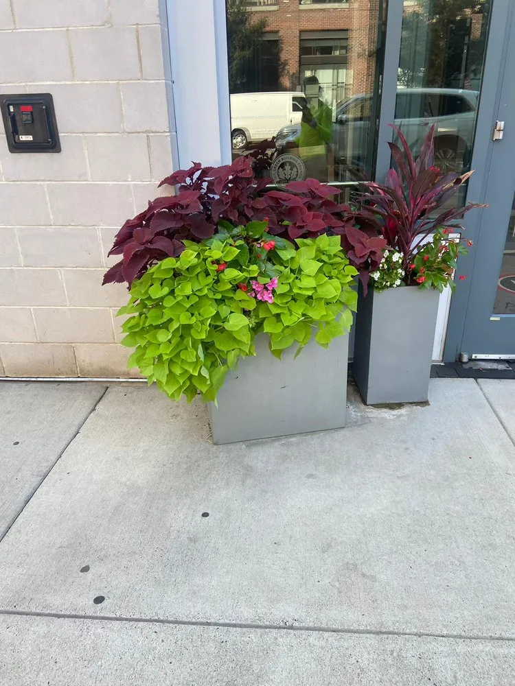 Reliable lawn care service for beautiful yards in Herndon, VA by Luxury Green Care