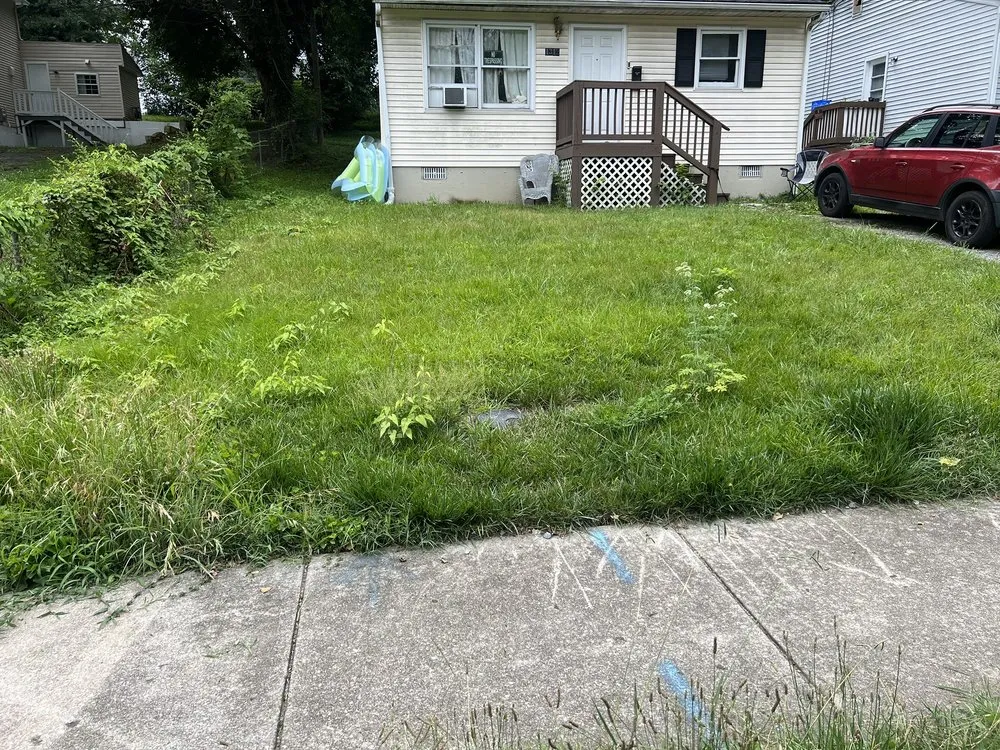 Expert lawn mowing service experts serving Roanoke, VA - LUXURY ICE FURNISHING