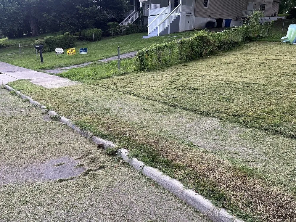 Expert lawn mowing service in Roanoke, VA - LUXURY ICE FURNISHING