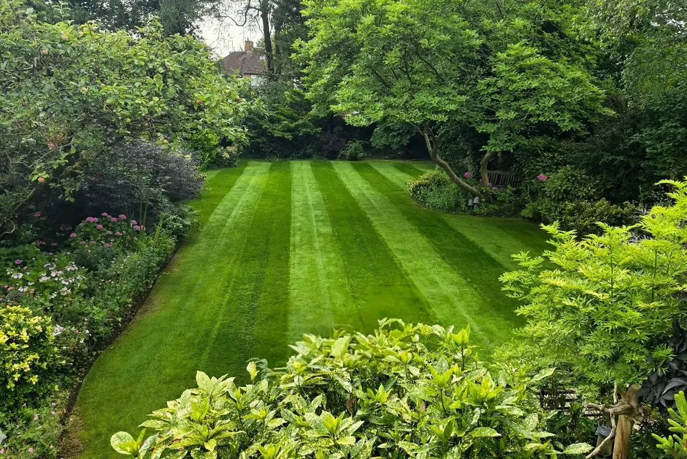 Professional landscape installation in Bay Shore, NY by Luxury Landscape Construction