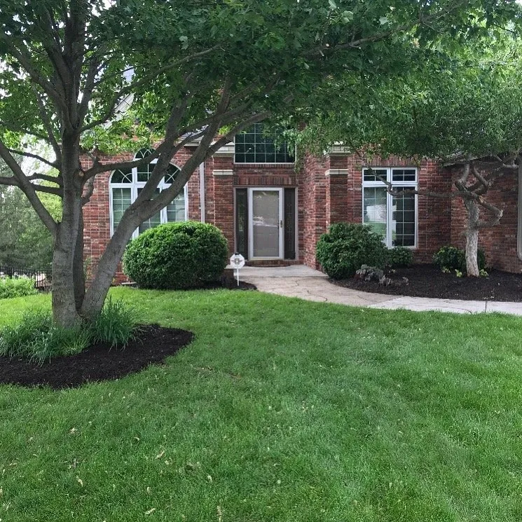 Affordable yard cleanup service in Lincoln, NE by Luxury Landscape