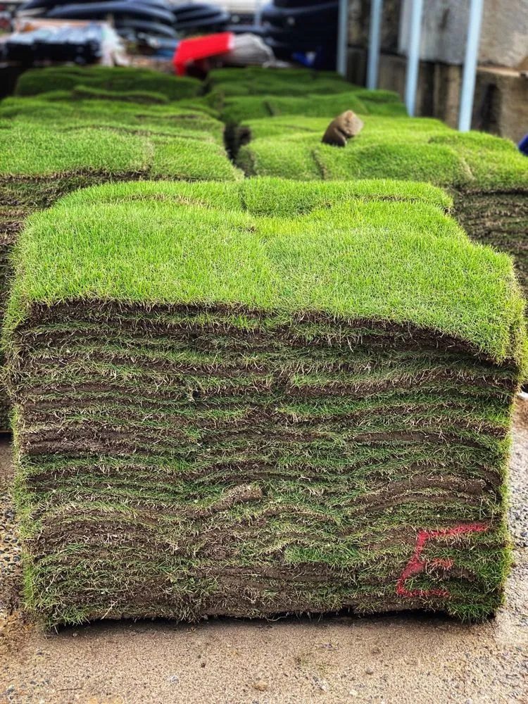 Expert residential landscaping in Lawrenceville, GA by Luxury Landscape Supply