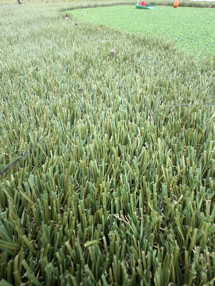 Professional landscape installation for outdoor upgrades in Austin, TX by Luxury Landscapes