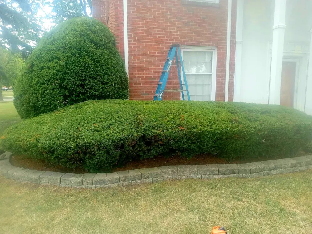 Local lawn mowing service for residential properties in Cheektowaga, NY by Luxury Landscapes