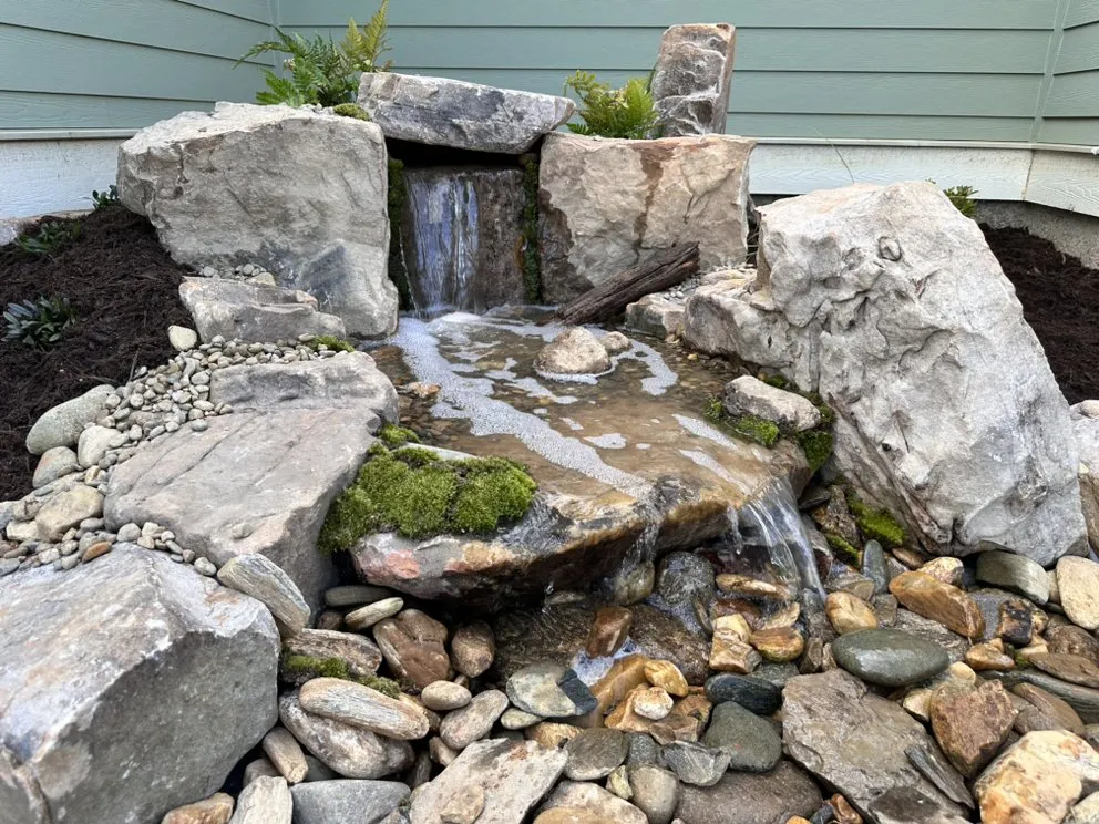 Expert yard cleanup service in Greer, SC - Luxury Landscapes