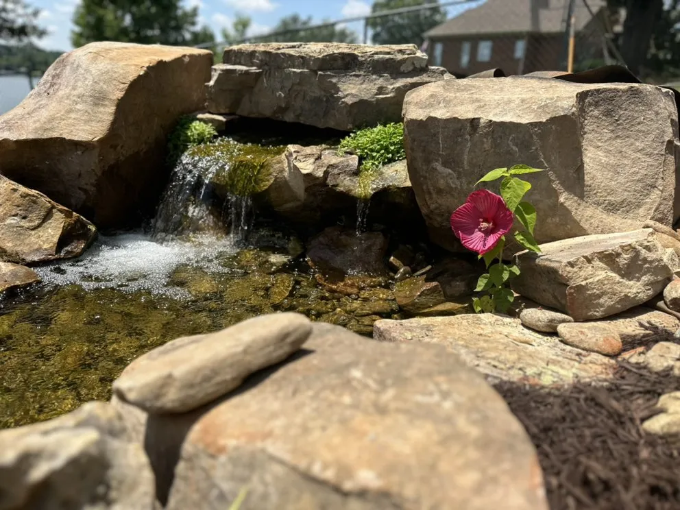 Trusted residential landscaping for beautiful yards across Greer, SC - Luxury Landscapes