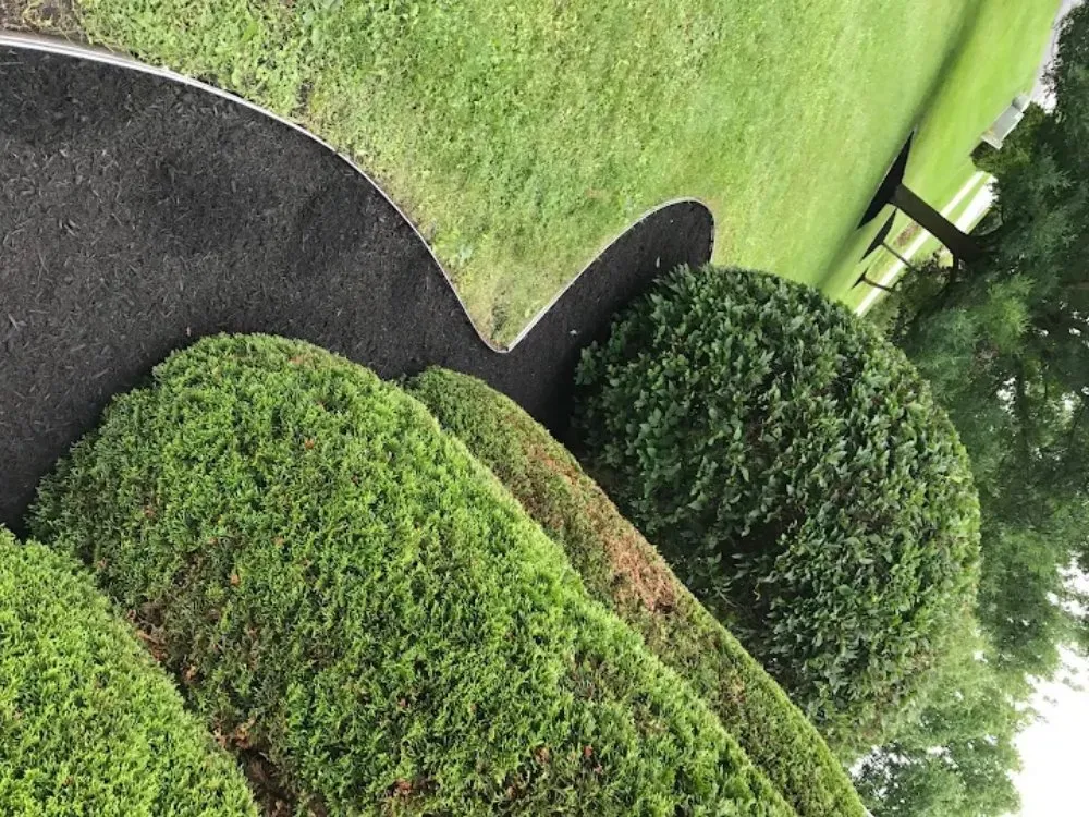 Expert yard maintenance for homes in Minoa, NY by Luxury Landscapes