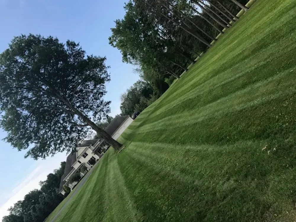 Affordable garden landscaping in Minoa, NY - Luxury Landscapes