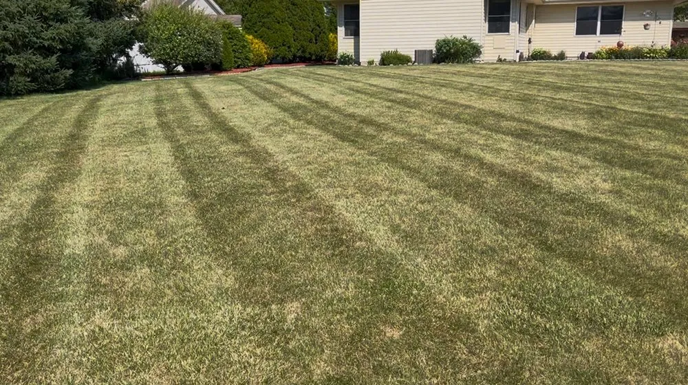 Trusted yard maintenance in Oak Creek, WI by Luxury Landscapes