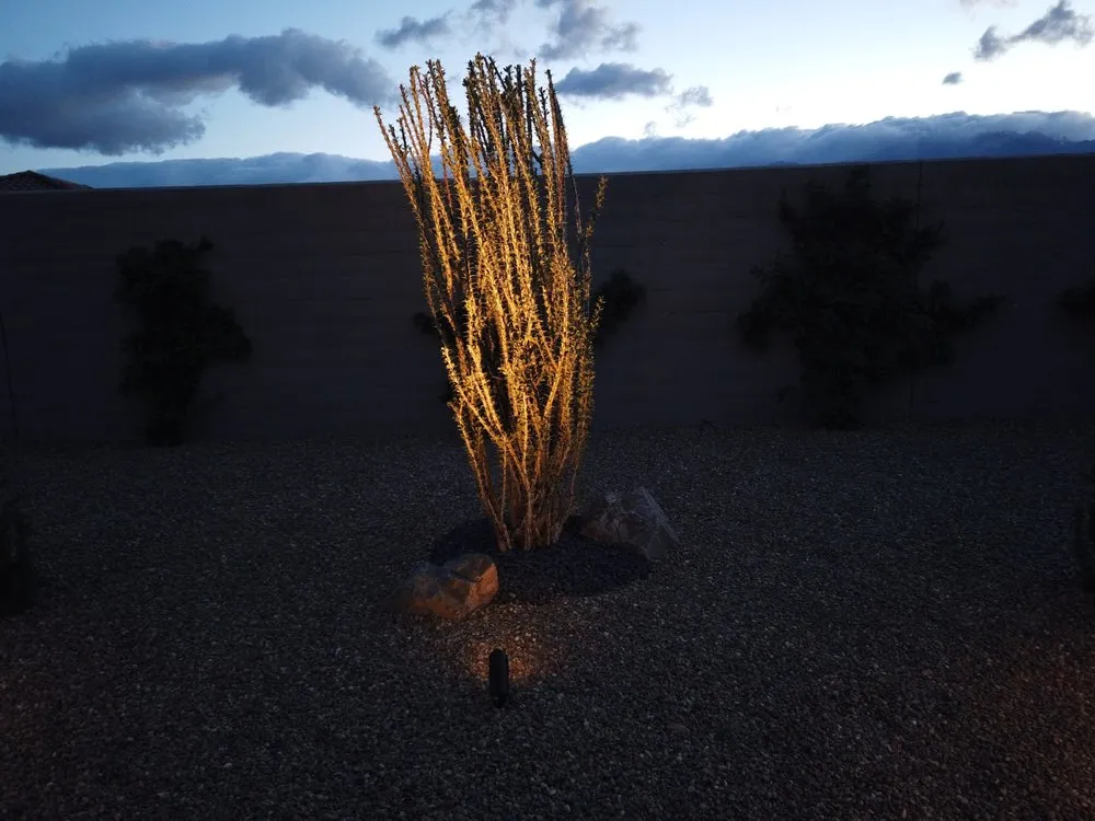 Affordable landscaping services in Coachella, CA by Luxury Landscaping & Design