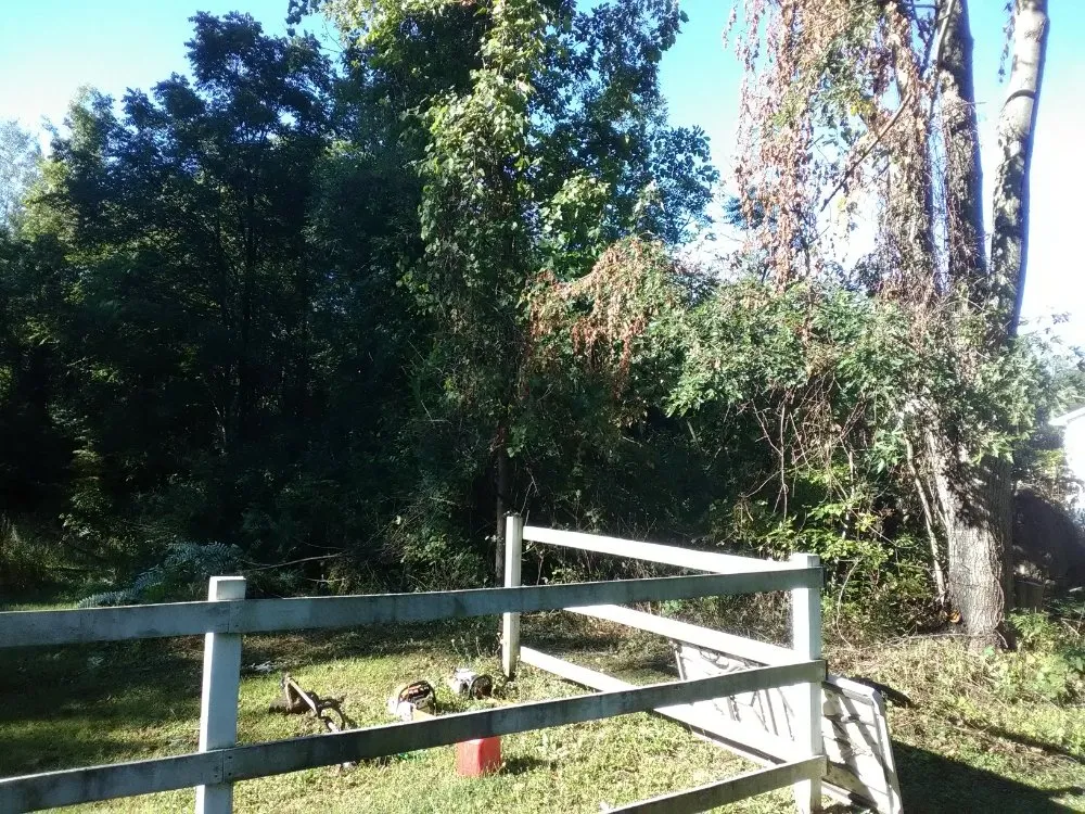 Custom yard maintenance for homes across Holley, NY - Luxury Landscaping & Excavation