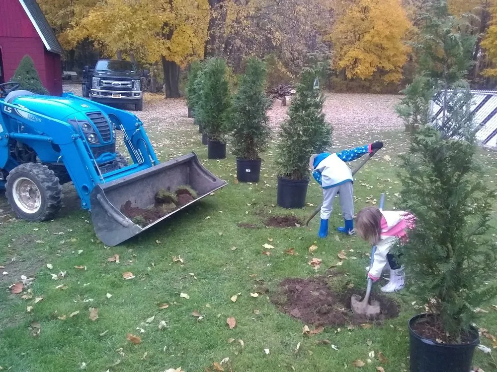 Expert lawn care service for year-round maintenance across Holley, NY - Luxury Landscaping & Excavation