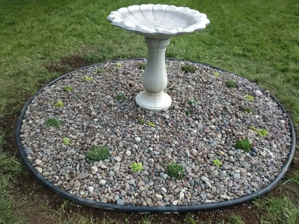 Reliable yard maintenance in Holley, NY - Luxury Landscaping & Excavation