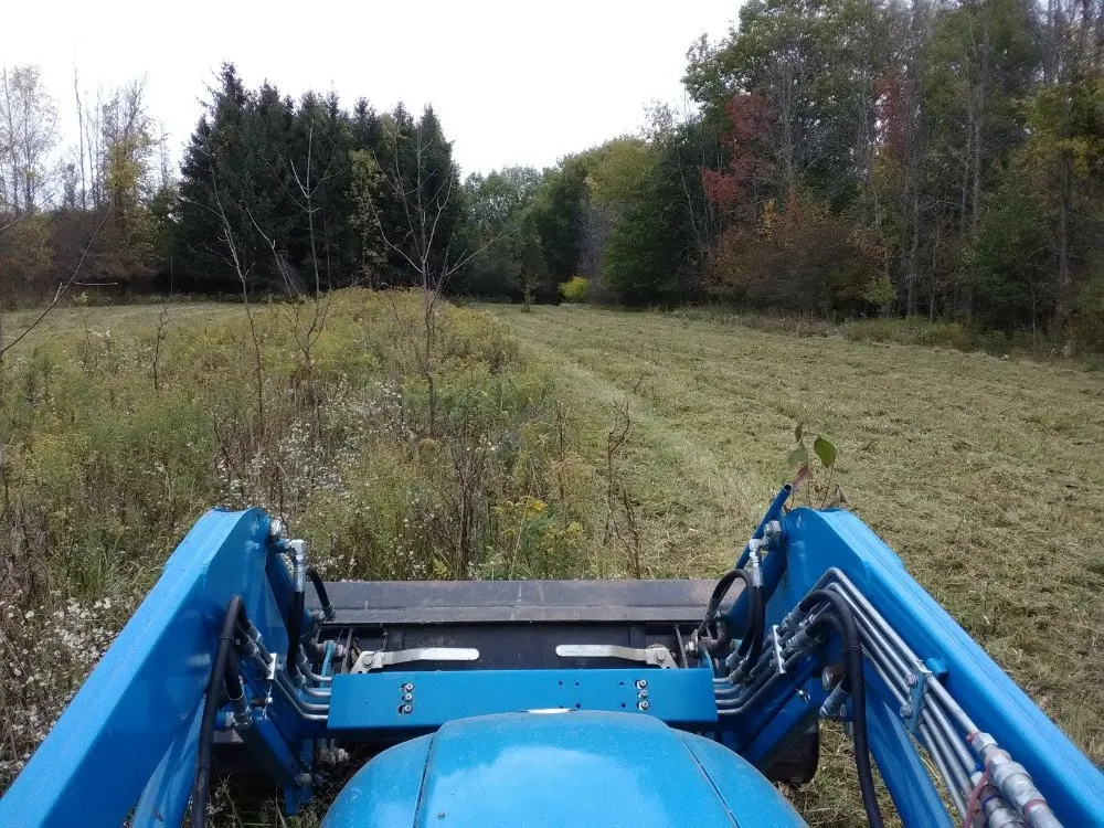 Expert landscape installation for beautiful yards in Holley, NY by Luxury Landscaping & Excavation