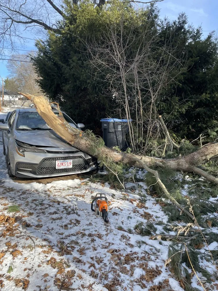 Local lawn care service in Lynn, MA by Luxury Landscaping & Hardscaping