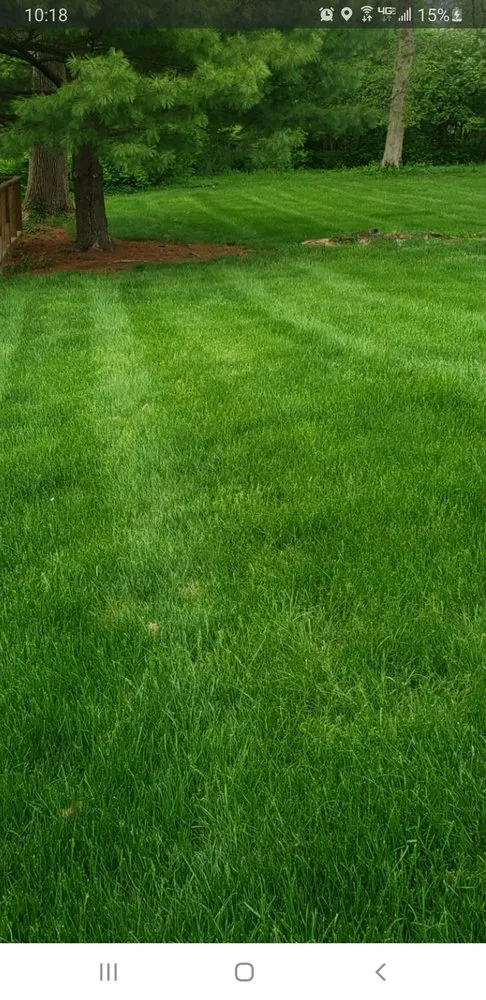 Local landscape installation in Blue Ash, OH - Luxury Landscaping