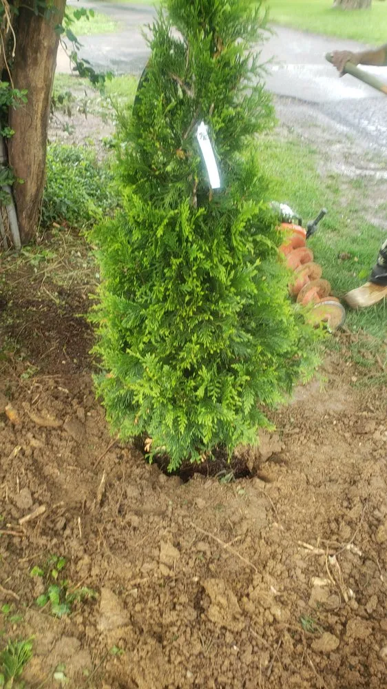 Custom landscape design in Blue Ash, OH by Luxury Landscaping