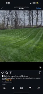 Luxury Landscaping Logo