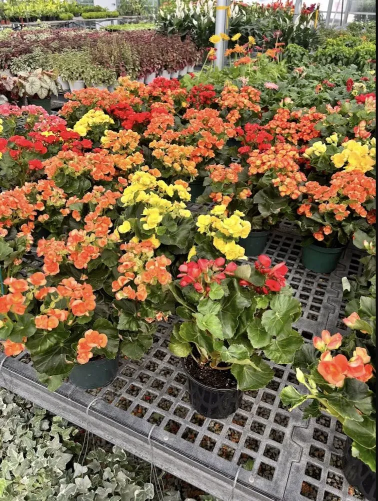 Custom garden landscaping for year-round maintenance in Houston, TX by Luxury Landscaping