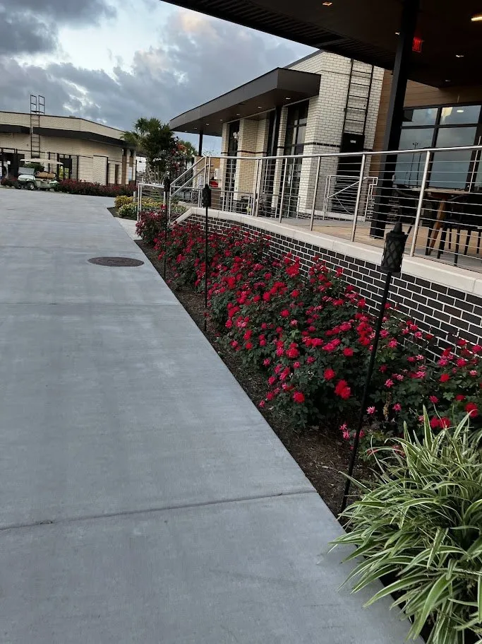 Top-rated residential landscaping experts serving Houston, TX - Luxury Landscaping