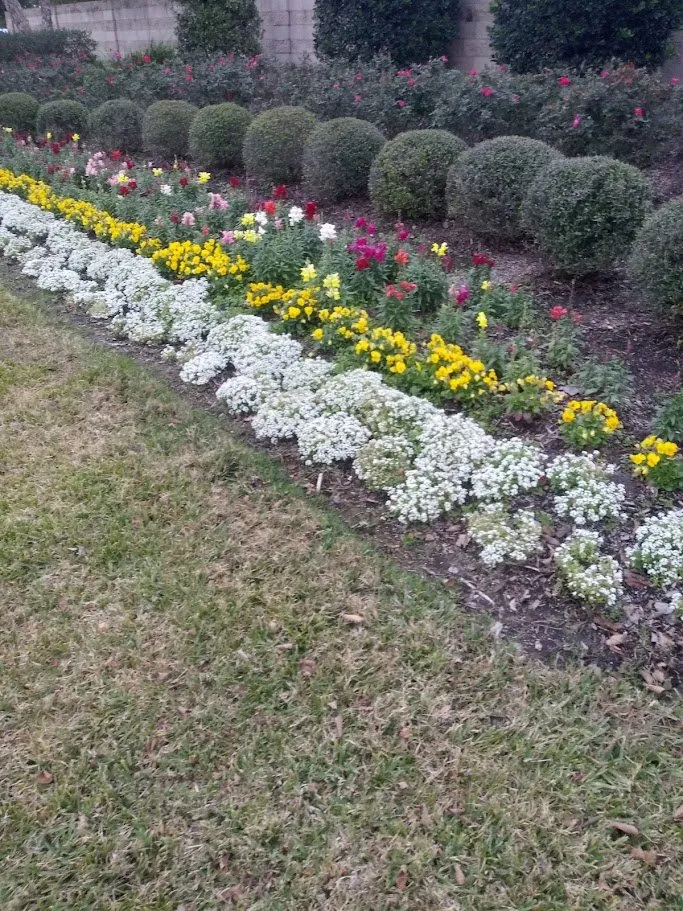 Top-rated landscaping services experts serving Houston, TX - Luxury Landscaping