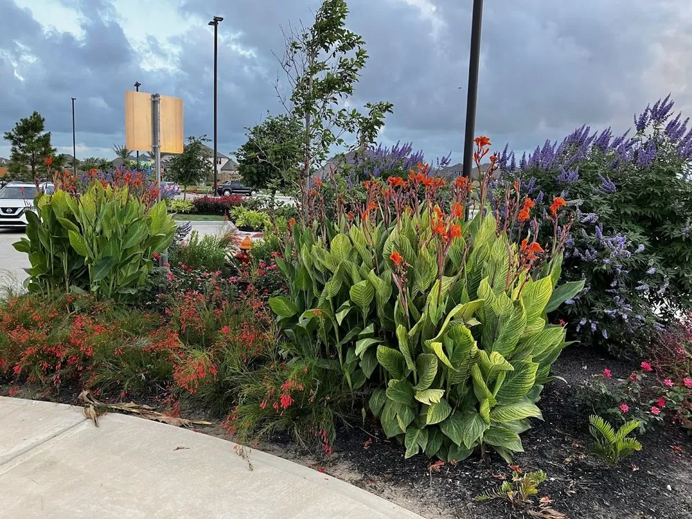 Trusted outdoor landscaping experts serving Houston, TX - Luxury Landscaping