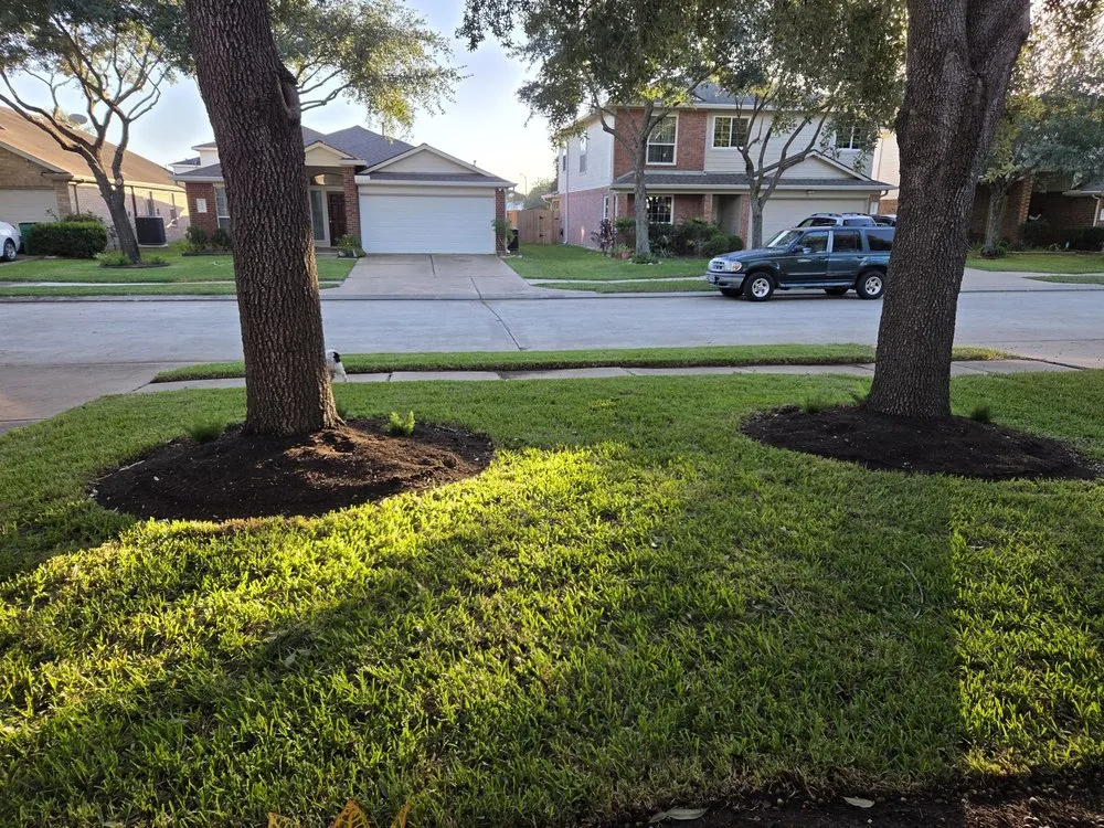 Affordable landscaping services in Houston, TX by Luxury Landscaping