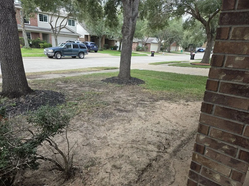 Expert landscaping services experts serving Houston, TX - Luxury Landscaping