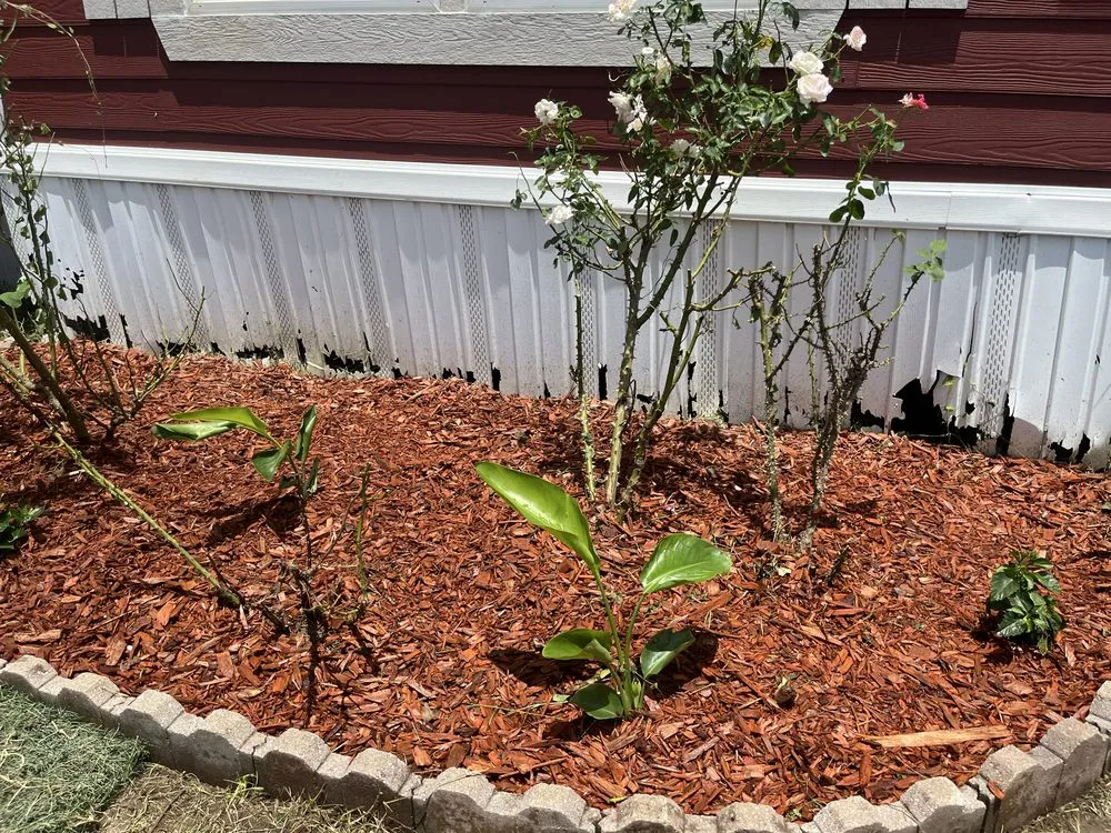 Local landscaping services experts serving Mabank, TX - Luxury Landscaping