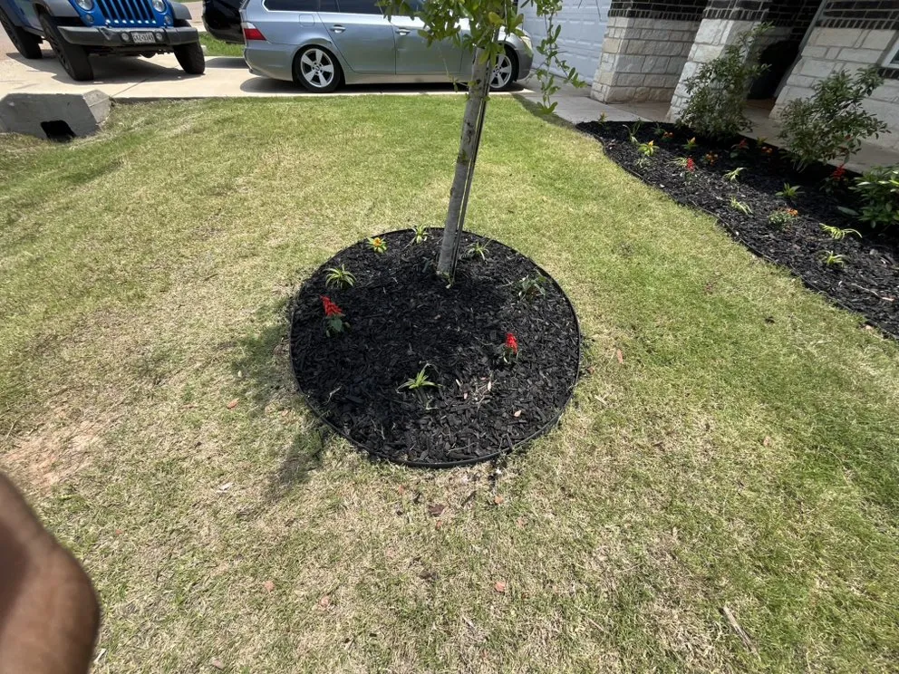 Local yard cleanup service near you in Mabank, TX by Luxury Landscaping