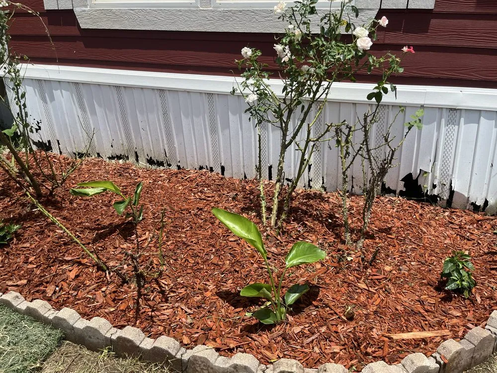 Trusted landscape installation in Mabank, TX - Luxury Landscaping