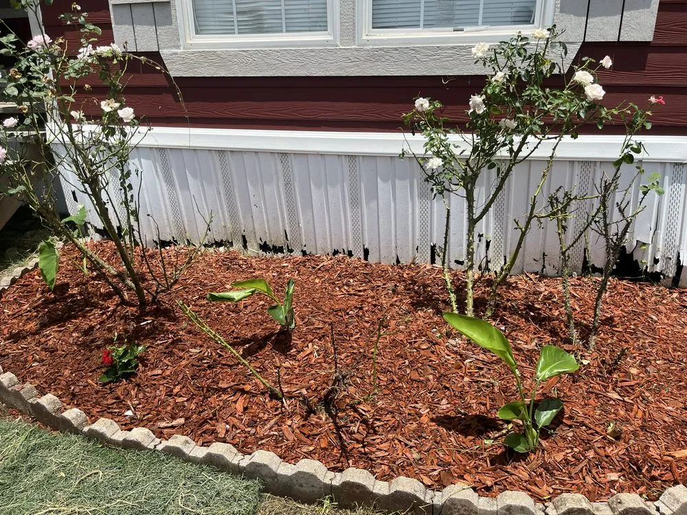 Local landscape design in Mabank, TX by Luxury Landscaping