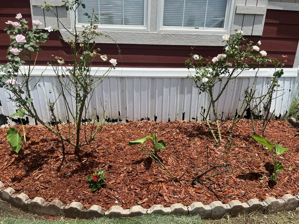 Expert outdoor landscaping for residential properties across Mabank, TX - Luxury Landscaping